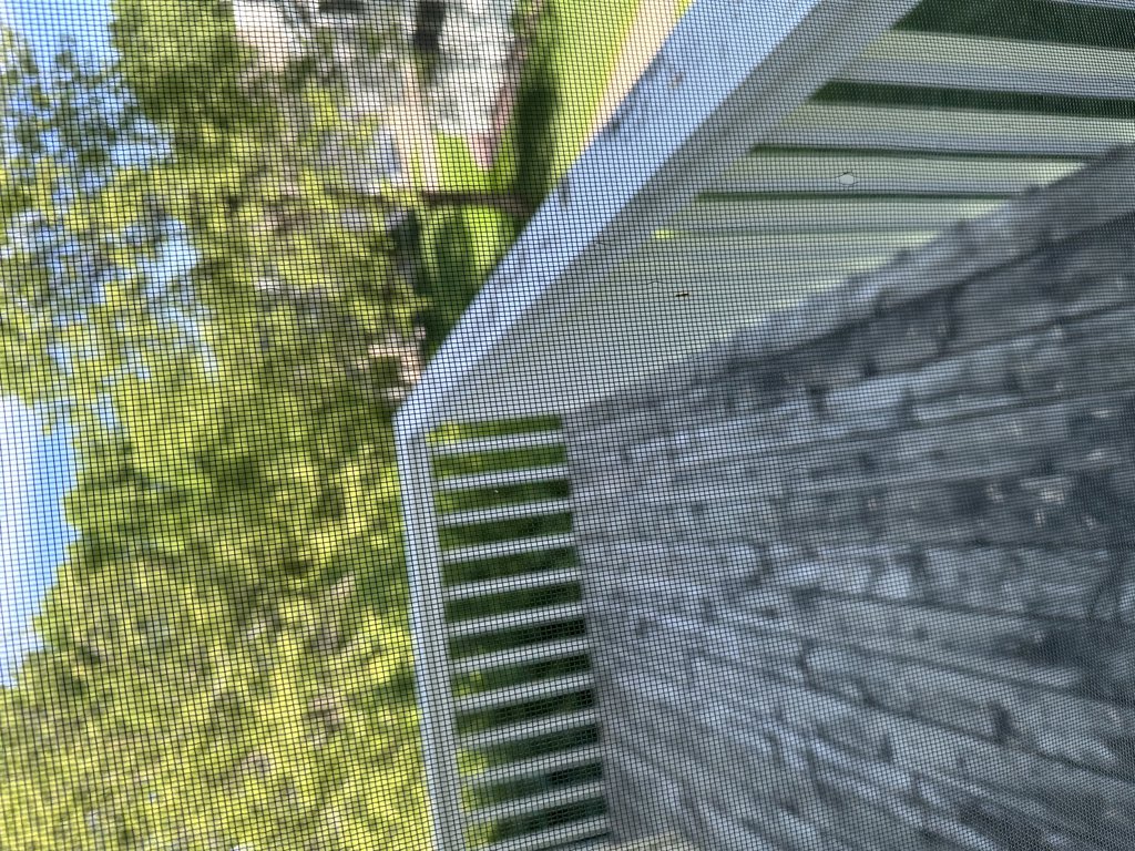 Renovating my deck