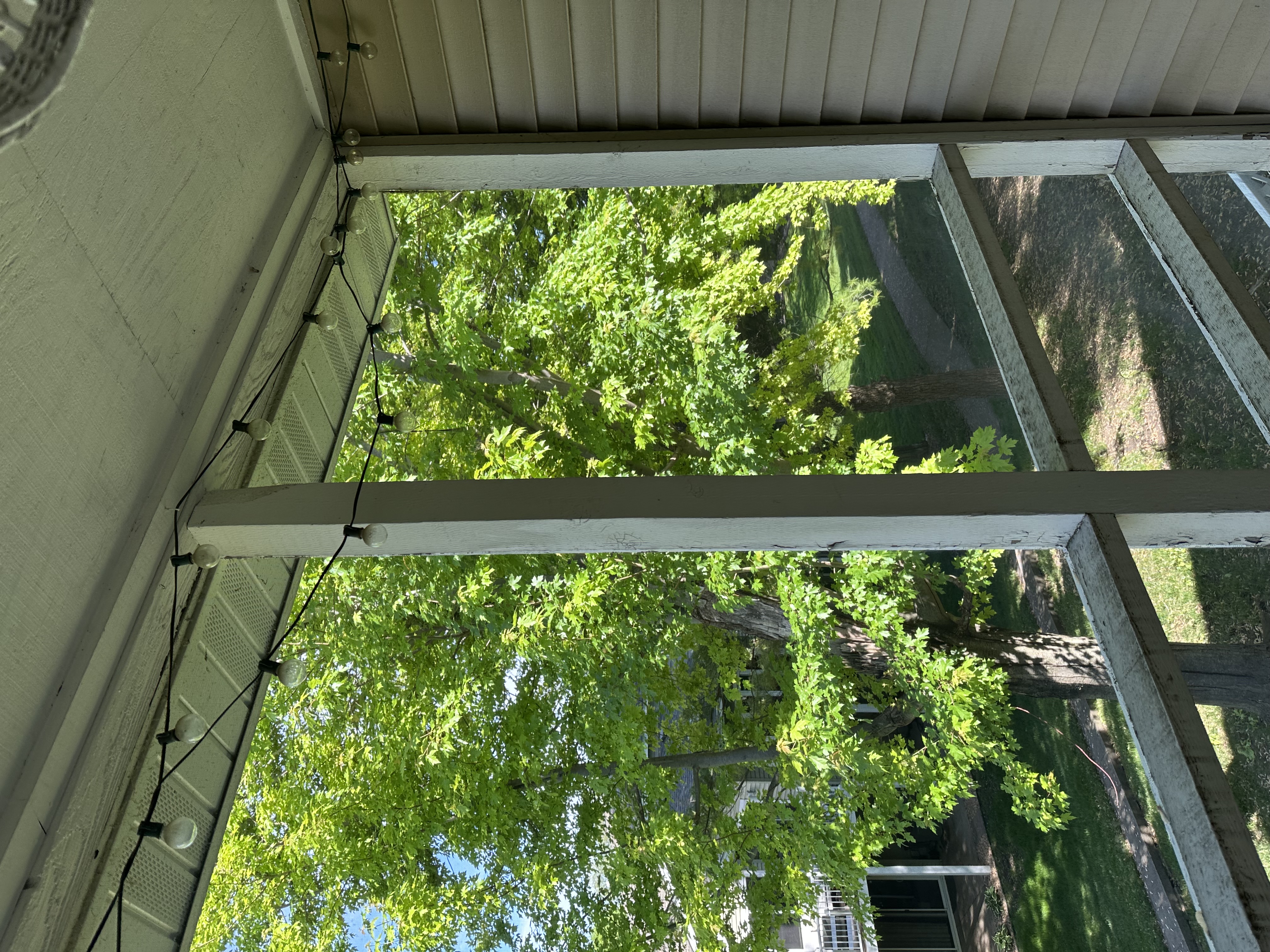 Renovating my deck