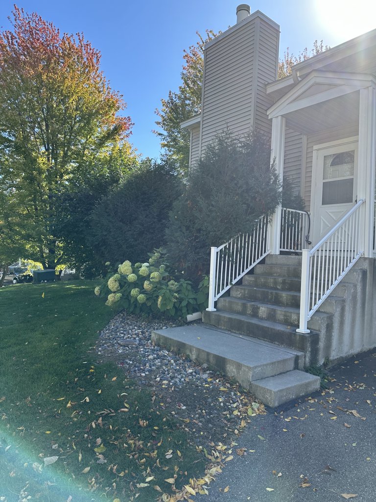 Trim Treese, plant new shrubs